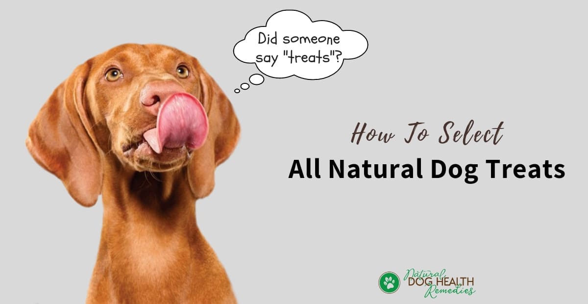 All Natural Dog Treat Products