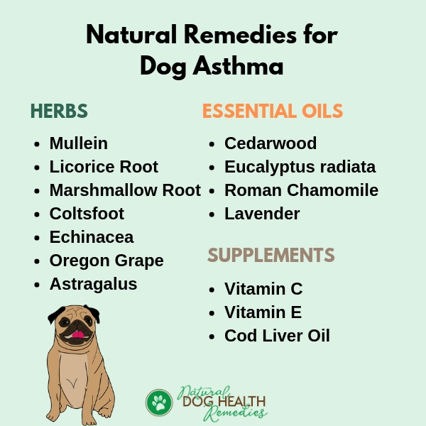 dog breathing problems home remedies