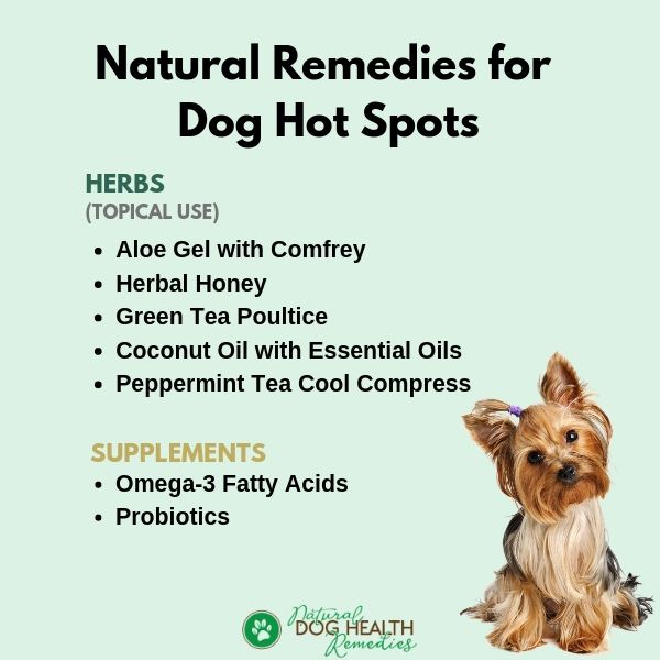 Natural Dog Hot Spots Remedies - A Dog Owner's Guide