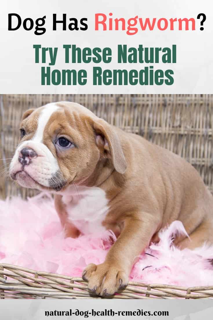 Ringworm Home Treatment: Discover the Secret to Remove Ringworm Naturally  eBook by James Collins - EPUB Book | Rakuten Kobo India