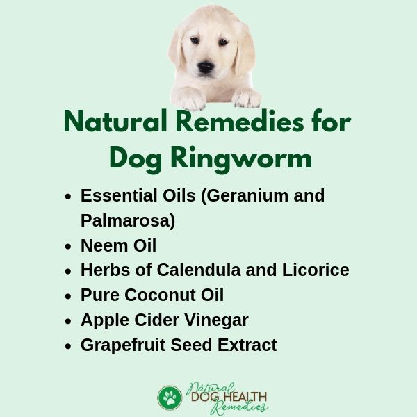 Natural Dog Ringworm Remedies Home Treatment For Ringworm On Dogs