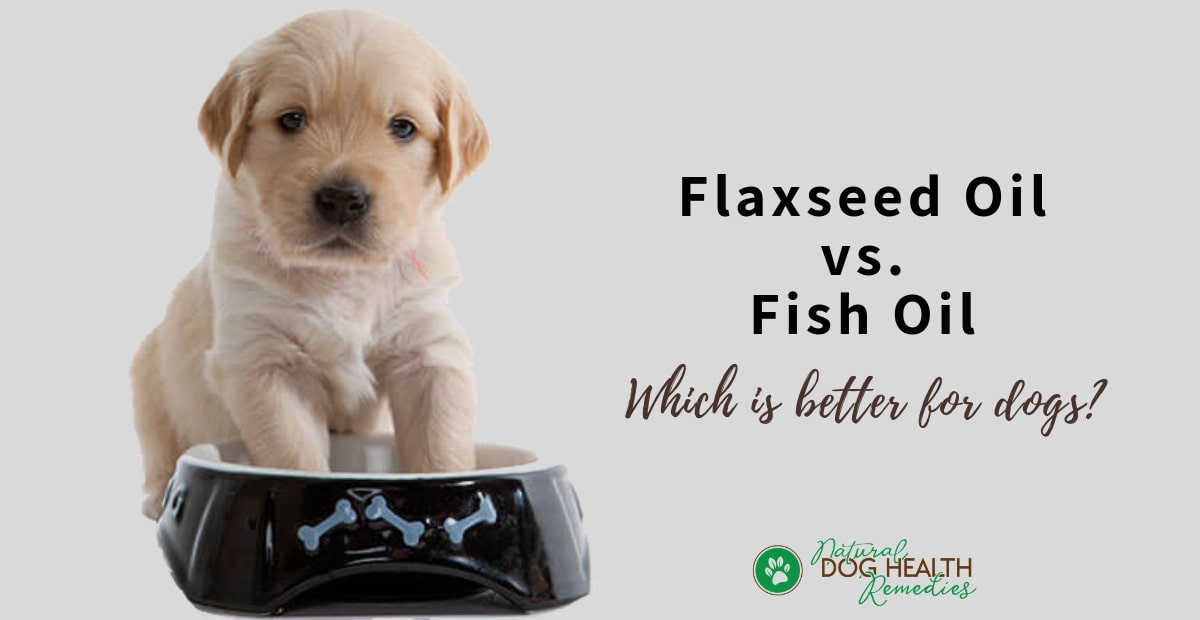 Flaxseed Oil vs. Fish Oil: Which Is Better?