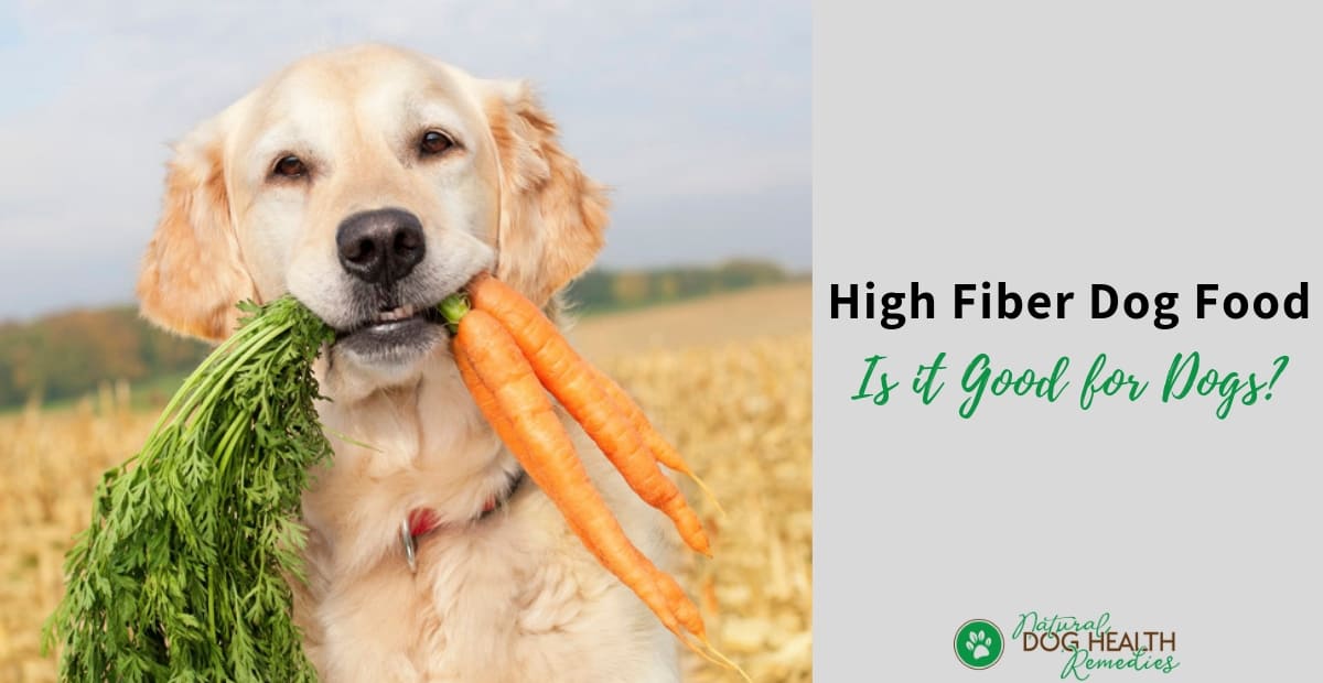 Is High Fiber Dog Food Good For Dogs 