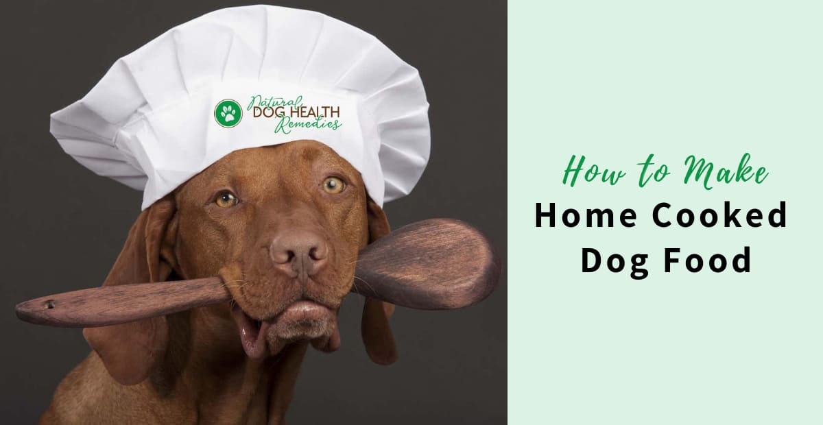 How to Make Home Cooked Dog Food A Dog Owners' Guide