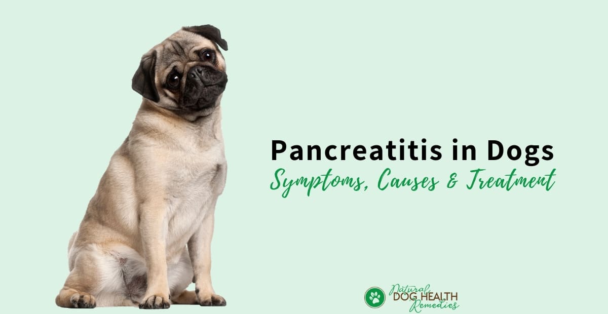 how long does pancreatitis take to heal in dogs