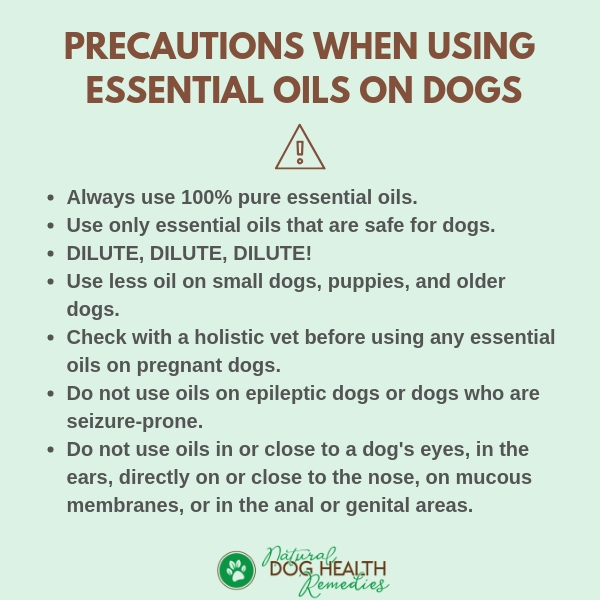 Using Aromatherapy Safely on Dogs | Unsafe Essential Oils for Dogs
