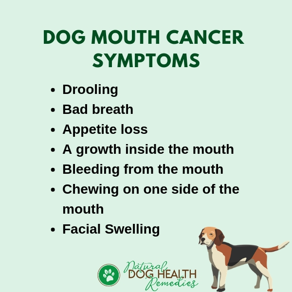 Canine Mouth Cancer | Symptoms and Treatment of Dog Oral ...