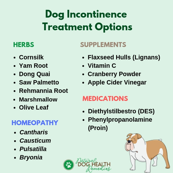 Natural Dog Incontinence Remedies Herbs Supplements Homeopathic 