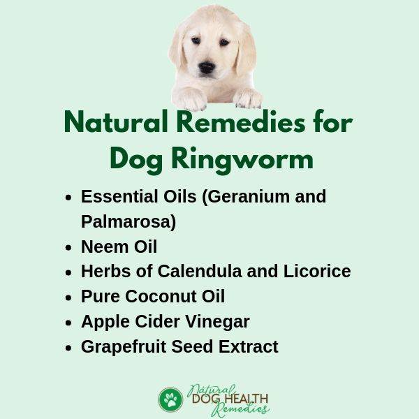 how long does ringworm take to heal in dogs