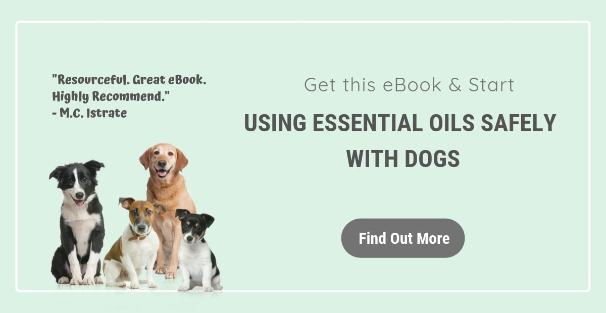 is orange essential oils bad for dogs