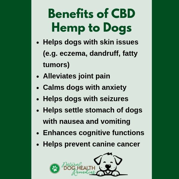 Benefits of CBD Hemp to Dogs