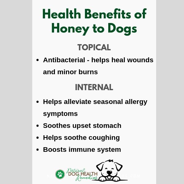 Local honey for dog clearance allergies