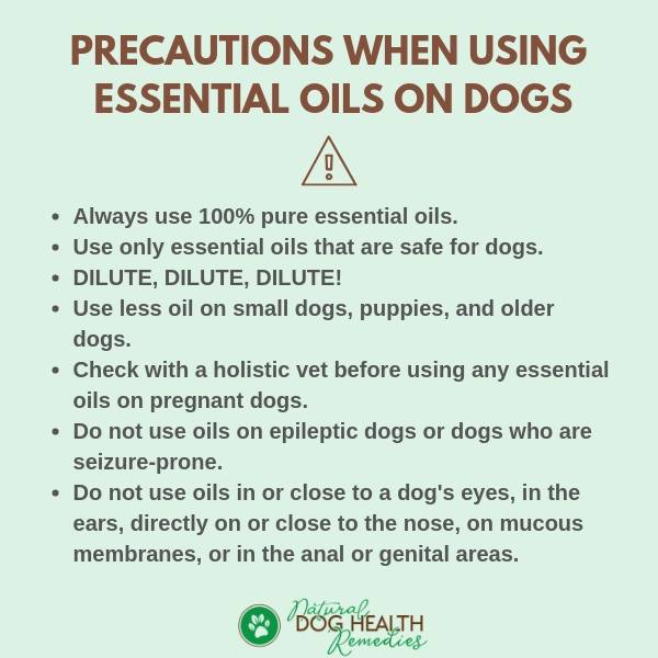 Using Aromatherapy Safely on Dogs Unsafe Essential Oils for Dogs